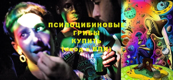 спиды Пересвет