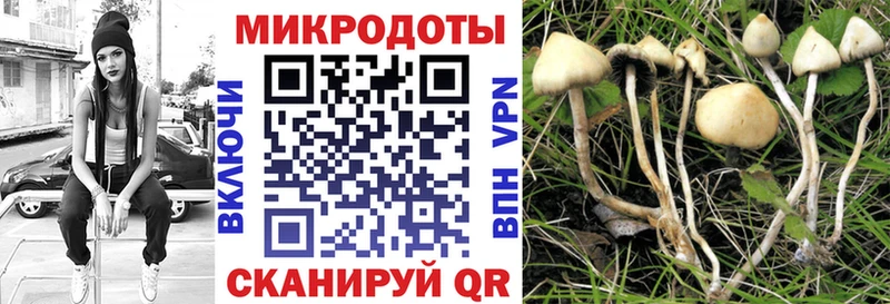 Галлюциногенные грибы Magic Shrooms  дарнет шоп  Поворино 
